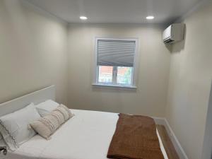 Perfect in NYC Woodside Queens