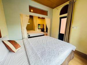 Tropical Valley Homestay - Villas