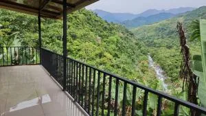 Chirripó Oasis - Violeta