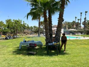 B&B Brezza Delle Egadi