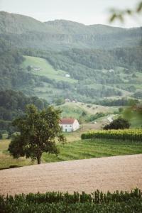 Holiday Home Vinagora