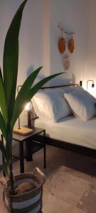 Seaside Akratas House