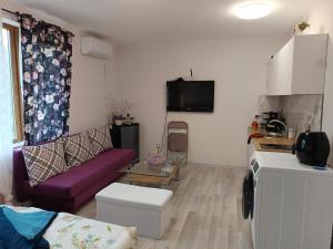 Ваканционно студио Трявна