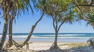 Whalesong - 奥申肖尔斯