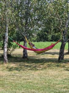 Villas Magnifique Villa a la campagne avec piscine : photos des chambres