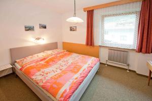 Apartments in Hart im Zillertal 746