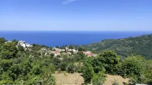 Ktima Athonas - Makrirrákhi