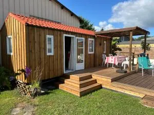 Chalet de jardin, piscine - Tosse