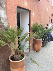 Riad Royal