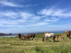 Maison de caractère à 3km de la mer