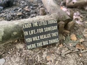 Elm - Bell tent Anglesey North Wales