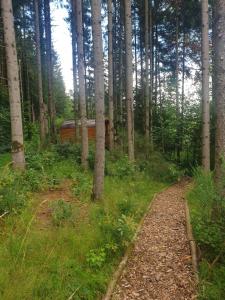 Tentes de luxe White wood lodge : photos des chambres