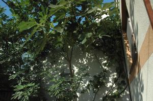 Apartament Smochin Beach