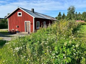 Folkja gård i Höga kusten