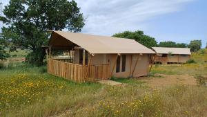 Glamping Podere Angiotto LODGE LAVANDA