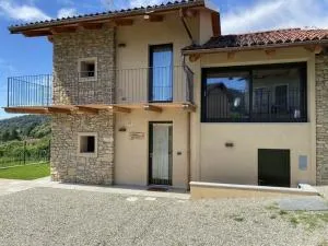 Chalet San Martino - 皮内罗洛