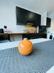 Appartements Appartement Oasis de Confort : photos des chambres