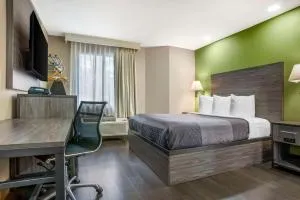 Rodeway Inn Tuscaloosa near University - Stokes