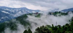 The Pluck- Boutique Luxury Homestay