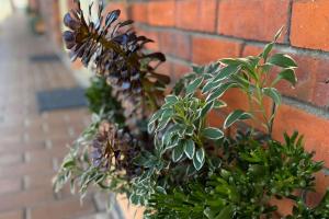 Econo Lodge Gateway Tamworth