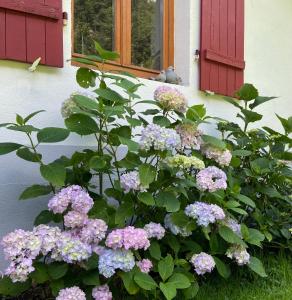 Maisons de vacances Gite de la Mesange : photos des chambres