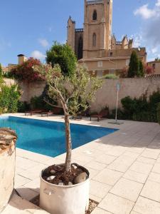 Villas Occ34 - Capestang - Manoir : photos des chambres