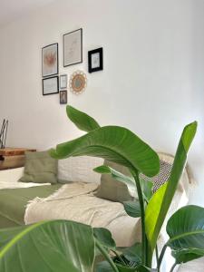 Cosy Appartement