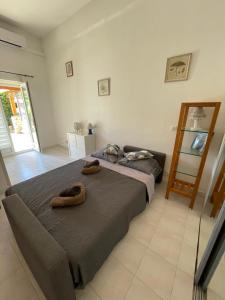 Appartements Residence Le Golfe Bleu : photos des chambres