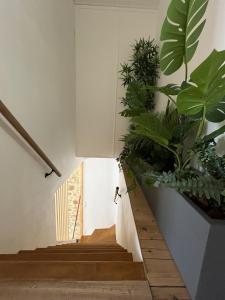 Maisons de vacances O Lavoir : photos des chambres