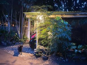 Shady Grove Healing Centre & Homestay w house rules please read before booking