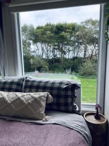 Woodlands by the Sea