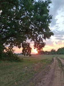 Levendula Apartman Berekfürdő