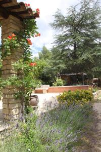 Villas Lou Cigalon : photos des chambres