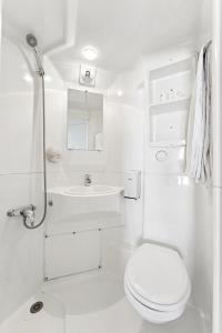 Hotels Hotel Akena Pierrelaye : Chambre Familiale avec Douche 