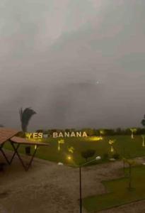 LD House- Bananeiras PB