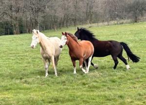 Sejours chez l'habitant Wildust ranch : photos des chambres