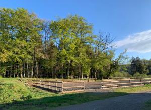 Sejours chez l'habitant Wildust ranch : photos des chambres
