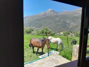 El Higuerón (Serranía de Ronda)