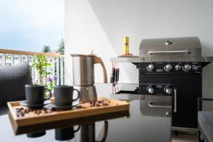 Fully equipped Apartments with Terraces, Free garage parking, Netflix & AC - by Apartmány Šlapanice cz