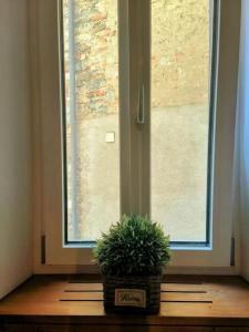 Romantic Apartment Sonvico