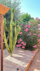 Appartements 2 hebergements - 10 couchages - parking, piscine, jacuzzi - convivialite : photos des chambres