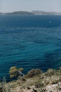 Bed and Breakfast in an exceptional villa