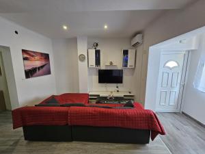 Modern apartment Nikola in a quiet area