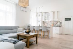 Business & Family Apartment Letna