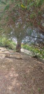 Appt cosy rez de villa