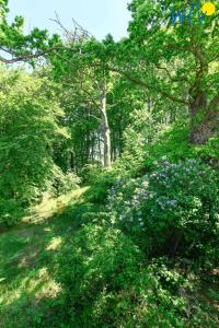 Residenz Binz Ferienwohnung 14