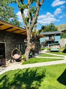 Tsotne's kingdom - Ortahanak