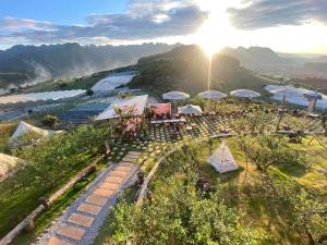 Green farm home & coffee