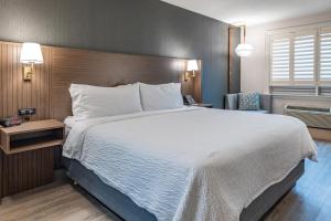 Holiday Inn Hotel & Suites St.Catharines-Niagara by IHG