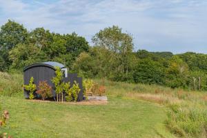 Ernest by Bloom Stays